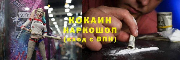гашик Балахна