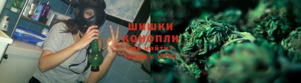 гашик Балахна