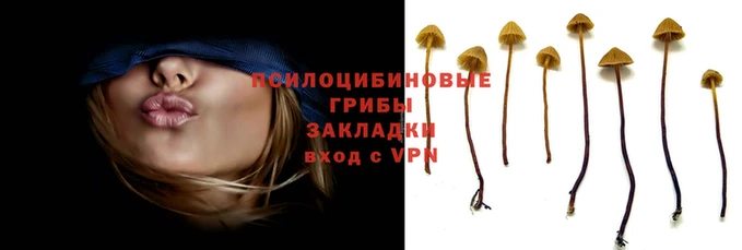 гашик Балахна