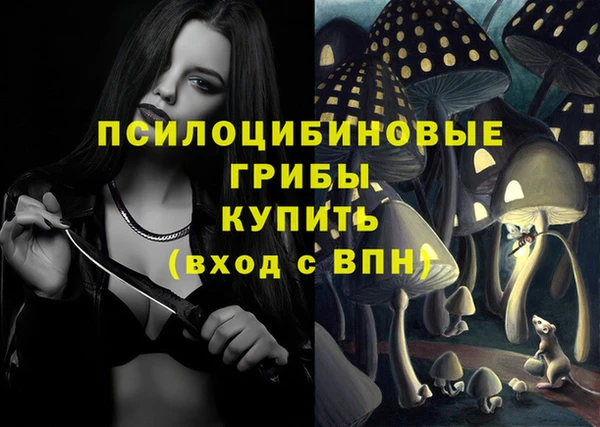 гашик Балахна