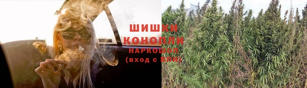 гашик Балахна